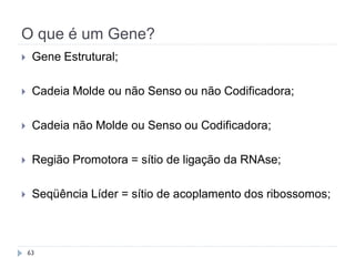 O que é um Gene?
 Gene Estrutural;
 Cadeia Molde ou não Senso ou não Codificadora;
 Cadeia não Molde ou Senso ou Codificadora;
 Região Promotora = sítio de ligação da RNAse;
 Seqüência Líder = sítio de acoplamento dos ribossomos;
63
 