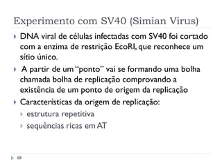 Experimento com SV40 (Simian Virus)
 DNA viral de células infectadas com SV40 foi cortado
com a enzima de restrição EcoRI, que reconhece um
sítio único.
 A partir de um “ponto” vai se formando uma bolha
chamada bolha de replicação comprovando a
existência de um ponto de origem da replicação
 Características da origem de replicação:
 estrutura repetitiva
 sequências ricas em AT
68
 