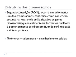 Estrutura dos cromossomos
 Segunda constrição (RON), ocorre em pelo menos
um dos cromossomos, conhecida como constrição
secundária, local onde estão situados os genes
ribossomais;que inicialmente irá formar os nucléolos
e posteriormente os ribossomos, onde será realizada
a síntese protéica.
 Telômeros – telomerase – envelhecimento celular.
7
 