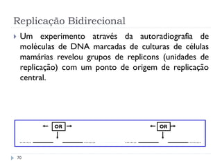 Replicação Bidirecional
 Um experimento através da autoradiografia de
moléculas de DNA marcadas de culturas de células
mamárias revelou grupos de replicons (unidades de
replicação) com um ponto de origem de replicação
central.
OR OR
70
 