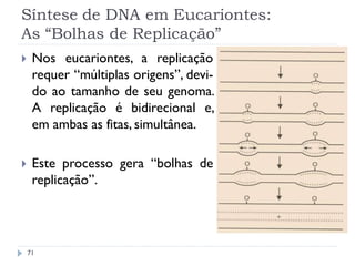 Síntese de DNA em Eucariontes:
As “Bolhas de Replicação”
71
 Nos eucariontes, a replicação
requer “múltiplas origens”, devi-
do ao tamanho de seu genoma.
A replicação é bidirecional e,
em ambas as fitas, simultânea.
 Este processo gera “bolhas de
replicação”.
 
