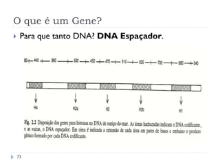 O que é um Gene?
73
 Para que tanto DNA? DNA Espaçador.
 