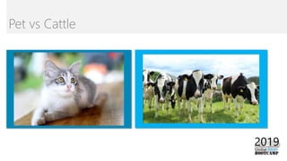 Pet vs Cattle
 