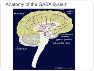 Anatomy of the GABA system
 