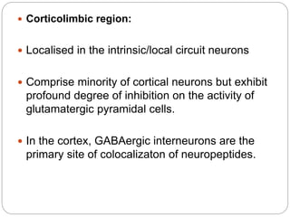  Corticolimbic region:
 Localised in the intrinsic/local circuit neurons
 Comprise minority of cortical neurons but exhibit
profound degree of inhibition on the activity of
glutamatergic pyramidal cells.
 In the cortex, GABAergic interneurons are the
primary site of colocalizaton of neuropeptides.
 