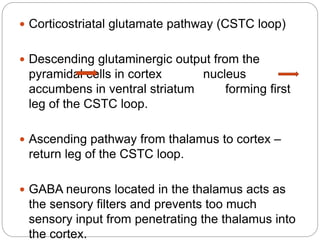  Corticostriatal glutamate pathway (CSTC loop)
 Descending glutaminergic output from the
pyramidal cells in cortex nucleus
accumbens in ventral striatum forming first
leg of the CSTC loop.
 Ascending pathway from thalamus to cortex –
return leg of the CSTC loop.
 GABA neurons located in the thalamus acts as
the sensory filters and prevents too much
sensory input from penetrating the thalamus into
the cortex.
 