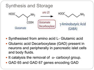 Synthesis and Storage
 Synthesised from amino acid L- Glutamic acid
 Glutamic acid Decarboxylase (GAD) present in
neurons and peripherally in pancreatic islet cells
and body fluids.
 It catalysis the removal of α- carboxyl group.
 GAD 65 and GAD 67 genes encoding GAD
 