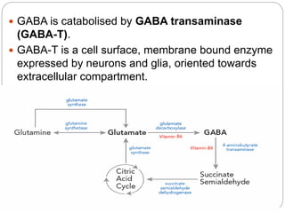  GABA is catabolised by GABA transaminase
(GABA-T).
 GABA-T is a cell surface, membrane bound enzyme
expressed by neurons and glia, oriented towards
extracellular compartment.
 Inhibited by valproic acid and vigabatrin.
 