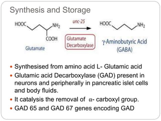 Synthesis and Storage
 Synthesised from amino acid L- Glutamic acid
 Glutamic acid Decarboxylase (GAD) present in
neuron...