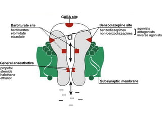 Pharmacology of GABA | PDF