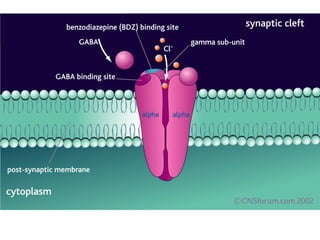 Pharmacology of GABA | PDF