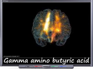 Gamma amino butyric acid
 