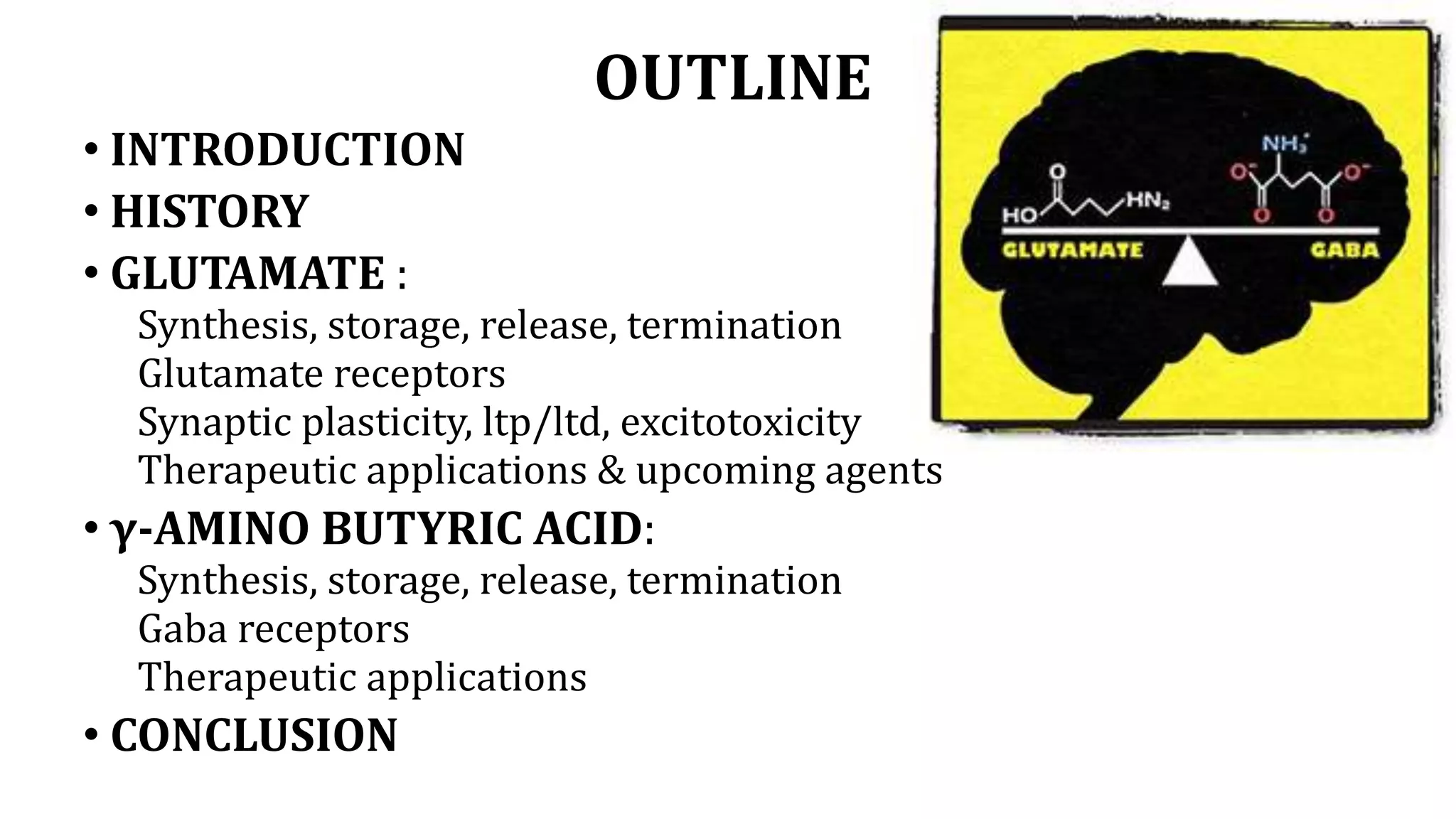 GABA, glutamate receptors and their modulation