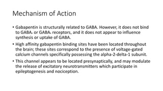 gabapentin mechanism of action pdf