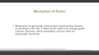 gabapentin and pregabalin calcium channels