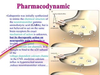 gabapentin mechanism of action for anxiety