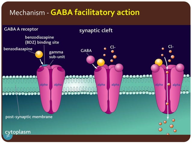 Gaba receptors & drugs acting on them | PPTX | Brain and Nervous System ...