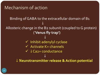 Gaba Neurotransmitter