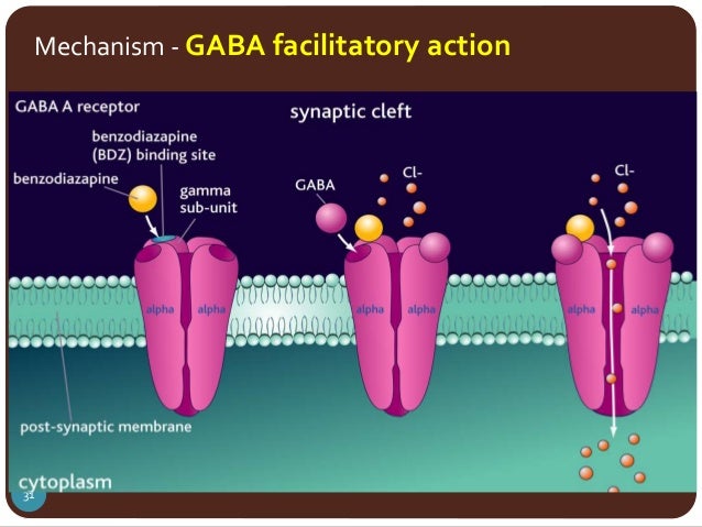 gabapentin mechanism of action gaba
