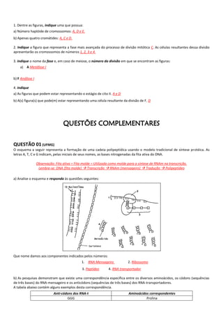 1. Dentre as figuras, indique uma que possua:
a) Número haplóide de cromossomos: A, D e E.
b) Apenas quatro cromátides: A, C e D.

2. Indique a figura que representa a fase mais avançada do processo de divisão mitótica C. As células resultantes dessa divisão
apresentarão os cromossomos de números 1, 2, 3 e 4.

3. Indique o nome da fase e, em caso de meiose, o número da divisão em que se encontram as figuras:
    a) A Metáfase I


b) F Anáfase I

4. Indique
a) As figuras que podem estar representando o estágio de cito II. A e D
b) A(s) figura(s) que pode(m) estar representando uma célula resultante da divisão de F. D




                                  QUESTÕES COMPLEMENTARES


QUESTÃO 01 (UFMG)
O esquema a seguir representa a formação de uma cadeia polipeptídica usando o modelo tradicional de síntese protéica. As
letras A, T, C e G indicam, pelas iniciais de seus nomes, as bases nitrogenadas da fita ativa do DNA.

                 Observação: Fita ativa = Fita molde = Utilizada como molde para a síntese de RNAm na transcrição.
                  Lembre-se: DNA (fita molde)  Transcrição  RNAm (mensageiro)  Tradução  Polipeptídeo

a) Analise o esquema e responda às questões seguintes:




Que nome damos aos componentes indicados pelos números:
                                              1. RNA Mensageiro             2. Ribossomo
                                              3. Peptídeo      4. RNA transportador

b) As pesquisas demonstram que existe uma correspondência específica entre os diversos aminoácidos, os códons (sequências
de três bases) do RNA-mensageiro e os anticódons (sequências de três bases) dos RNA-transportadores.
A tabela abaixo contém alguns exemplos desta correspondência.
                            Anti-códons dos RNA-t                           Aminoácidos correspondentes
                                    GGG                                               Prolina
 
