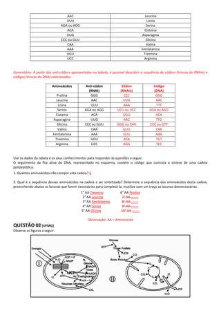 AAC                                                Leucina
                                  UUU                                                 Lisina
                               AGA ou AGG                                             Serina
                                  ACA                                                Cisteína
                                  UUG                                              Asparagina
                               CCC ou GUU                                             Glicina
                                  CAA                                                 Valina
                                  AAA                                              Fenilalanina
                                  UGU                                               Treonina
                                  UCC                                                Arginina


Comentário: A partir dos anti-códons apresentados na tabela, é possível descobrir a sequência de códons (trincas do RNAm) e
códigos (trincas do DNA) relacionados.

                          Aminoácidos         Anti-códon            Códon                 Código
                                                (RNAt)             (RNAm)                 (DNA)
                            Prolina              GGG                 CCC                   GGG
                            Leucina              AAC                 UUG                   AAC
                             Lisina              UUU                 AAA                   TTT
                             Serina           AGA ou AGG          UCU ou UCC            AGA ou AGG
                            Cisteína             ACA                 UGU                   ACA
                          Asparagina             UUG                 AAC                   TTG
                             Glicina          CCC ou GUU          GGG ou CAA            CCC ou GTT
                             Valina              CAA                 GUU                   CAA
                          Fenilalanina           AAA                 UUU                   AAA
                           Treonina              UGU                 ACA                   TGT
                            Arginina             UCC                 AGG                   TCC


Use os dados da tabela e os seus conhecimentos para responder às questões a seguir.
O seguimento da fita ativa do DNA, representado no esquema, contém o código que controla a síntese de uma cadeia
polipeptídica.
1. Quantos aminoácidos irão compor esta cadeia? 6

2. Qual é a sequência desses aminoácidos na cadeia a ser sintetizada? Determine a sequência dos aminoácidos desta cadeia,
preenchendo abaixo as lacunas que forem necessárias para completá-la. Inutilize com um traço as lacunas desnecessárias.
                                            1° AA Treonina         6° AA Prolina
                                             2° AA Leucina          7° AA ____
                                             3° AA Fenilalanina     8° AA ____
                                             4° AA Serina           9° AA ____
                                            5° AA Glicina          10° AA ____

                                                Observação: AA = Aminoácido
QUESTÃO 02 (UFMG)
Observe as figuras a seguir:
 