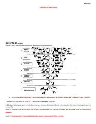 PÁGINA   3

                                                    PRESENÇA DE ANTERÍDIOS




QUESTÃO 15 (UFMG)
Analise a figura que mostra a classificação taxonômica do cão doméstico.




     1. FILO: CHORDATA (CORDADO); 3. CLASSE MAMMALIA (MAMÍFERO); 4. ORDEM CARNIVORA; 6. GÊNERO: Canis; 7. ESPÉCIE

1. Baseado nos retângulos de números 1 e 5 do desenho, complete os demais.

2. Cite duas razões pelas quais os indivíduos do grupo correspondente ao retângulo número 2, tão diferentes entre si, pertencem ao
mesmo filo.
Razão 1 PRESENÇA DE NOTOCORDA OU FENDAS FARINGEANAS OU CAUDA PÓS-ANAL EM ALGUMA FASE DA VIDA DESSES
ANIMAIS.

Razão 2 PRESENÇA DE SISTEMA NERVOSO DORSAL OU SISTEMA CIRCULATÓRIO VENTRAL.
 