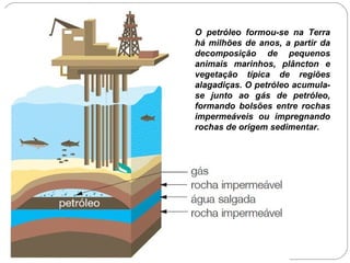 O petróleo formou-se na Terra há milhões de anos, a partir da decomposição de pequenos animais marinhos, plâncton e vegetação típica de regiões alagadiças. O petróleo acumula- se junto ao gás de petróleo, formando bolsões entre rochas impermeáveis ou impregnando rochas de origem sedimentar. 