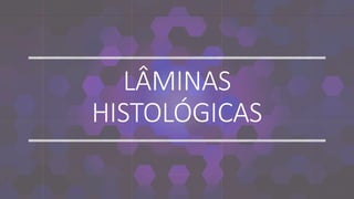 LÂMINAS
HISTOLÓGICAS
 