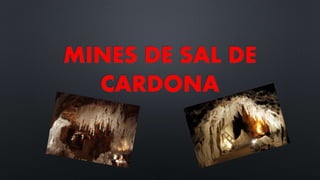 MINES DE SAL DE
CARDONA
 