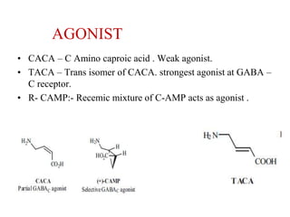 Gaba seminar | PPTX