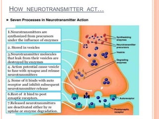 HOW NEUROTRANSMITTER ACT…
 