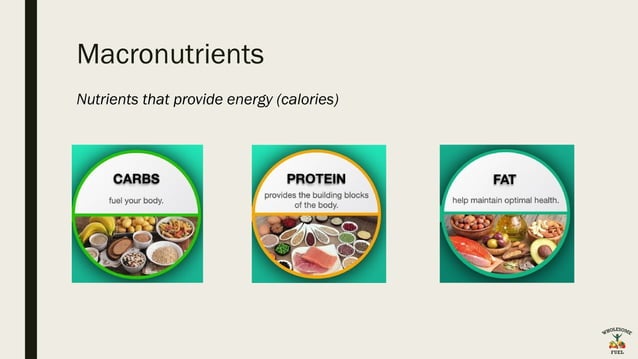 Nutrition Wellness Macronutrients. .pptx