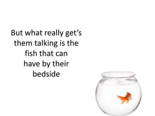 But what really get’s 
them talking is the 
fish that can 
have by their 
bedside 
 