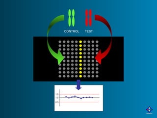 CONTROL TEST 
1.5 
1.0 
0.5 
 