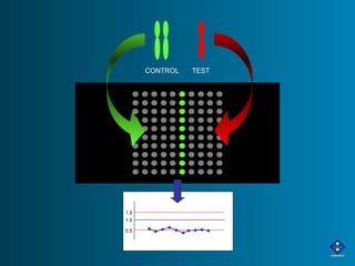 1.5 
1.0 
0.5 
CONTROL TEST 
 