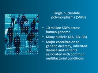 Single nucleotide 
polymorphisms (SNPs) 
• 10 million SNPs across 
human genome 
• Many biallelic (AA, AB, BB) 
• Major contribution to 
genetic diversity, inherited 
disease and variants 
associated with common 
multifactorial conditions 
 