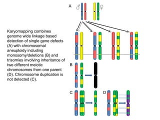 A ♂ ♀ 
B 
C D 
Karyomapping combines 
genome wide linkage based 
detection of single gene defects 
(A) with chromosomal 
aneuploidy including 
monosomy/deletions (B) and 
trisomies involving inheritance of 
two different meiotic 
chromosomes from one parent 
(D). Chromosome duplication is 
not detected (C). 
 