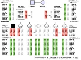 Fiorentino et al (2005) Eur J Hum Genet 13, 953 
 