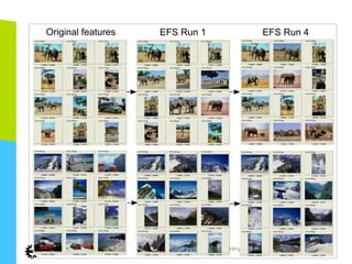 Multimedia Group – Prof. S. Kiranyaz
 