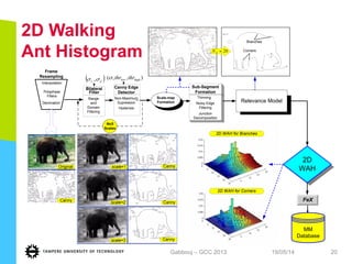 2D Walking
Ant Histogram
19/05/14Gabbouj – GCC 2013 20
Thinning
Noisy Edge
Filtering
Junction
Decomposition
Sub-Segment
Formation
Relevance Model
FeX
Bilateral
Filter
Range
and
Domain
Filtering
( )dr σσ ,,
Canny Edge
Detector
Non-Maximum
Supression
Hysterisis
Polyphase
Filters
Interpolation
Decimation
Frame
Resampling
NoS
Scales
Scale-map
Formation
),,( highlow thrthrσ
MM
Database
scale=1
scale=3
scale=2
Canny
Canny
CannyOriginal
Canny
2D
WAH
2D WAH for Branches
2D WAH for Corners
Corners
Branches
20=SN
 