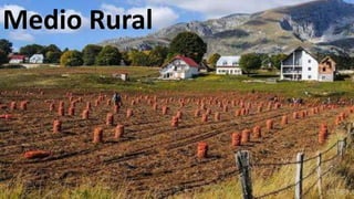 Medio Rural
 