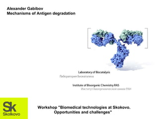 Alexander Gabibov Mechanisms of Antigen degradation Workshop &quot;Biomedical technologies at Skokovo. Opportunities and challenges&quot;  