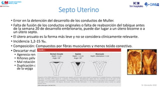 Septo Uterino
• Error en la detención del desarrollo de los conductos de Muller.
• Falta de fusión de los conductos originales o falta de reabsorción del tabique antes
de la semana 20 de desarrollo embrionario, puede dar lugar a un útero bicorne o a
un útero septo.
• El útero arcuato es la forma más leve y no se considera clínicamente relevante.
• Incidencia 1,2-15 ‰.
• Composición: Compuestos por fibras musculares y menos tejido conectivo.
• Descartar malformaciones renales asociadas:
• Agenesia renal unilateral
• Riñones pélvicos bilaterales o unilateral
• Mal rotación de los riñones
• Duplicación del sistema colector, hidrouréter o extrofia
de la vejiga
Dr. Moratalla 2020
 