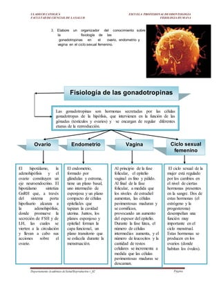 ULADECH CATOLICA
FACULTAD DE CIENCIAS DE LA SALUD
ESCUELA PROFESIONAL DEODONTOLOGIA
FISIOLOGIA HUMANA
Departamento Académico deSaludReproductiva v_02 Página
13
3. Elabore un organizador del conocimiento sobre
la fisiología de las
gonadotropinas en el ovario, endometrio y
vagina en el ciclo sexual femenino.
Fisiología de las gonadotropinas
Las gonadotropinas son hormonas secretadas por las células
gonadotropas de la hipófisis, que intervienen en la función de las
gónadas (testículos y ovarios) y se encargan de regular diferentes
etapas de la reproducción.
Ovario Endometrio Vagina Ciclo sexual
femenino
El hipotálamo, la
adenohipófisis y el
ovario constituyen un
eje neuroendocrino. El
hipotálamo sintetiza
GnRH que, a través
del sistema porta
hipofisario alcanza a
la adenohipófisis,
donde promueve la
secreción de FSH y de
LH, las cuales se
vierten a la circulación
y llevan a cabo sus
acciones sobre el
ovario.
El endometrio,
formado por
glándulas y estroma,
tiene un plano basal,
uno intermedio de
esponjosa y un plano
compacto de células
epiteliales que
tapizan la cavidad
uterina. Juntos, los
planos esponjoso y
epitelial forman la
capa funcional, un
plano transitorio que
se esfacela durante la
menstruación.
Al principio de la fase
folicular, el epitelio
vaginal es fino y pálido.
Al final de la fase
folicular, a medida que
los niveles de estradiol
aumentan, las células
pavimentosas maduran y
se cornifican,
provocando un aumento
del espesor del epitelio.
Durante la fase lútea, el
número de células
intermedias aumenta, y el
número de leucocitos y la
cantidad de restos
celulares se incrementa a
medida que las células
pavimentosas maduras se
descaman.
El ciclo sexual de la
mujer está regulado
por los cambios en
el nivel de ciertas
hormonas presentes
en la sangre. Dos de
estas hormonas (el
estrógeno y la
progesterona)
desempeñan una
función muy
importante en el
ciclo menstrual.
Estas hormonas se
producen en los
ovarios (donde
habitan los óvulos).
 