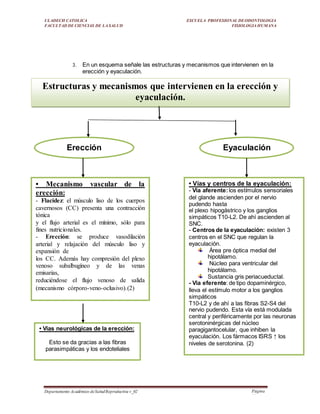 ULADECH CATOLICA
FACULTAD DE CIENCIAS DE LA SALUD
ESCUELA PROFESIONAL DEODONTOLOGIA
FISIOLOGIA HUMANA
Departamento Académico deSaludReproductiva v_02 Página
22
3. En un esquema señale las estructuras y mecanismos que intervienen en la
erección y eyaculación.
Estructuras y mecanismos que intervienen en la erección y
eyaculación.
• Mecanismo vascular de la
erección:
- Flacidez: el músculo liso de los cuerpos
cavernosos (CC) presenta una contracción
tónica
y el flujo arterial es el mínimo, sólo para
fines nutricionales.
- Erección: se produce vasodilación
arterial y relajación del músculo liso y
expansión de
los CC. Además hay compresión del plexo
venoso subalbugíneo y de las venas
emisarias,
reduciéndose el flujo venoso de salida
(mecanismo córporo-veno-oclusivo).(2)
• Vías neurológicas de la erección:
Esto se da gracias a las fibras
parasimpáticas y los endoteliales
Erección Eyaculación
• Vías y centros de la eyaculación:
- Vía aferente:los estímulos sensoriales
del glande ascienden por el nervio
pudendo hasta
el plexo hipogástrico y los ganglios
simpáticos T10-L2. De ahí ascienden al
SNC.
- Centros de la eyaculación: existen 3
centros en el SNC que regulan la
eyaculación.
Área pre óptica medial del
hipotálamo.
Núcleo para ventricular del
hipotálamo.
Sustancia gris periacueductal.
- Vía eferente: de tipo dopaminérgico,
lleva el estímulo motor a los ganglios
simpáticos
T10-L2 y de ahí a las fibras S2-S4 del
nervio pudendo. Esta vía está modulada
central y periféricamente por las neuronas
serotoninérgicas del núcleo
paragigantocelular, que inhiben la
eyaculación. Los fármacos ISRS ↑ los
niveles de serotonina. (2)
 
