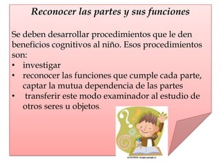 Reconocer las partes y sus funciones
Se deben desarrollar procedimientos que le den
beneficios cognitivos al niño. Esos procedimientos
son:
• investigar
• reconocer las funciones que cumple cada parte,
captar la mutua dependencia de las partes
• transferir este modo examinador al estudio de
otros seres u objetos.
 