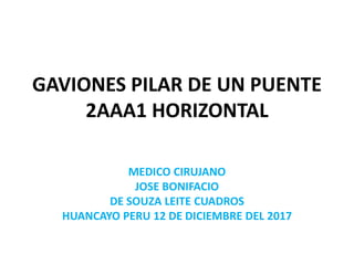 GAVIONES PILAR DE UN PUENTE
2AAA1 HORIZONTAL
MEDICO CIRUJANO
JOSE BONIFACIO
DE SOUZA LEITE CUADROS
HUANCAYO PERU 12 DE DICIEMBRE DEL 2017
 