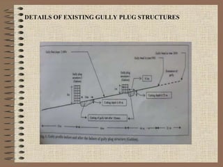 DETAILS OF EXISTING GULLY PLUG STRUCTURES
 