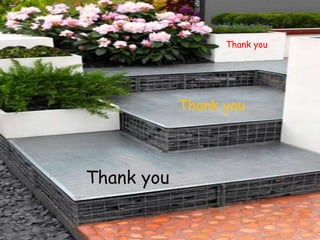 Thank you
Thank you
Thank you
 