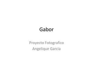 Gabor

Proyecto Fotografico
  Angelique Garcia
 